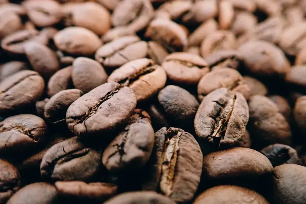 Arabica czy Robusta – która kawa jest lepsza?